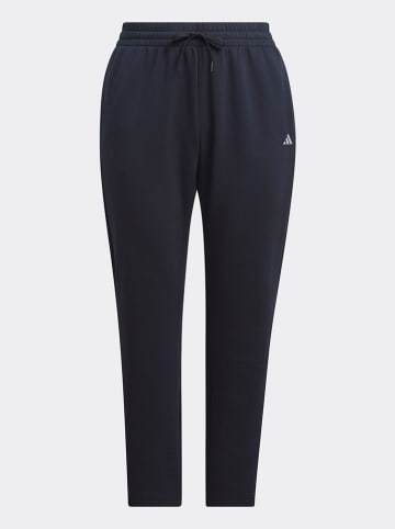 adidas Sweathose in Dunkelblau