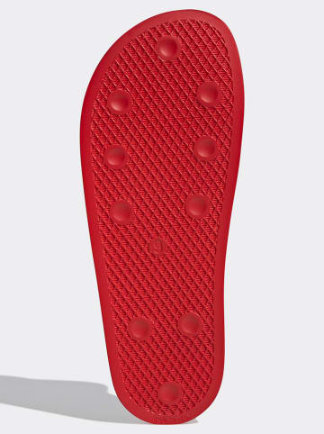 adidas Pantoletten in Rot