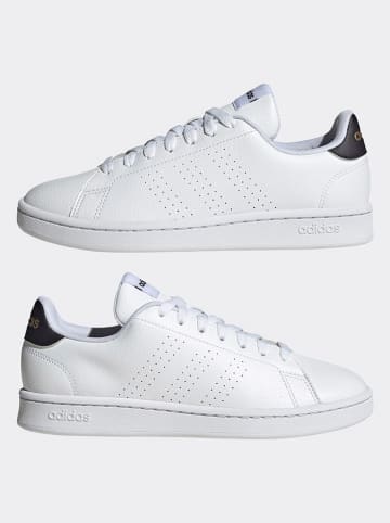 adidas Sneakers in Weiß/ Schwarz