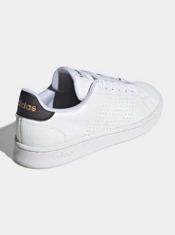 adidas Sneakers in Weiß/ Schwarz