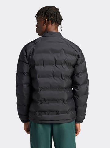 adidas Steppjacke in Schwarz
