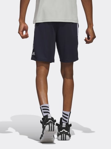 adidas Shorts in Weiß/ Dunkelblau