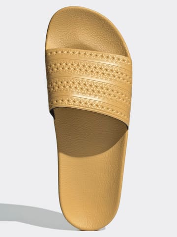 adidas Klapki w kolorze żółtym