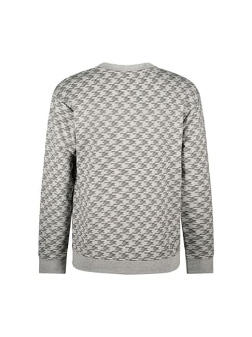 Tygo & Vito Sweatshirt "Dev" in Grau