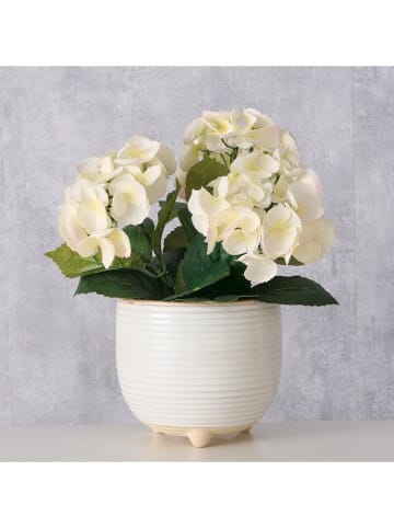 Boltze Osłonka "Peronie" w kolorze beżowym na doniczkę - wys. 14,9 x Ø 17 cm