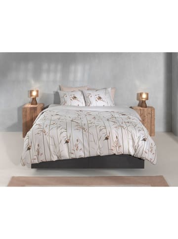 HNL Flanell-Bettwäsche-Set "Pettirosso" in Beige