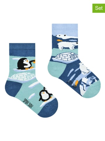 Spox Sox 2er-Set: Socken in Bunt