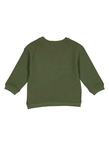 Blue Seven Sweatshirt in Khaki