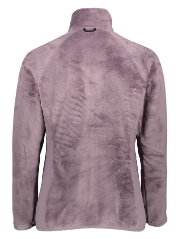 Jack Wolfskin Fleecejacke "Rotwand" in Lila