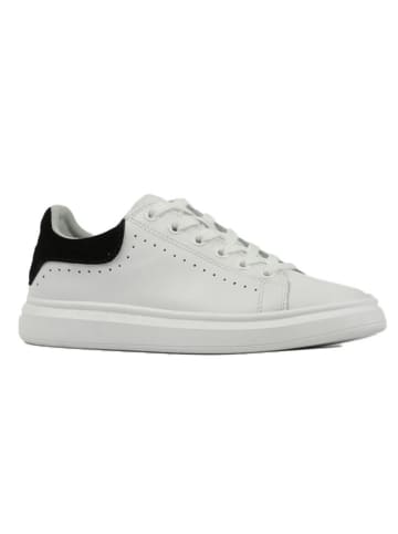 Richter Shoes Leder-Sneakers "Alex" in Weiß