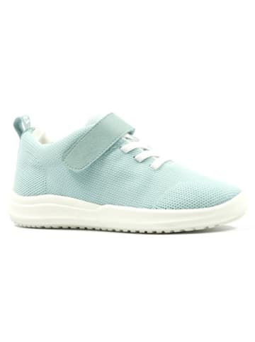 Richter Shoes Sneakers "Melody" in Türkis