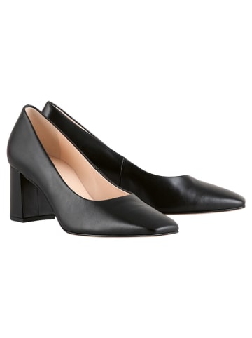 Högl Leder-Pumps "Squared 50" in Schwarz