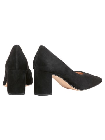 Högl Leder-Pumps "Squared 50" in Schwarz