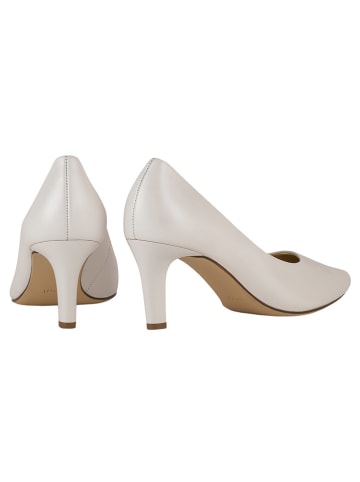 Högl Leren pumps "Studio 60" wit