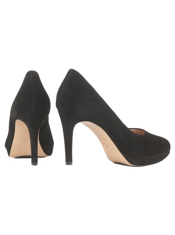 Högl Leder-Pumps "Studio 80" in Schwarz