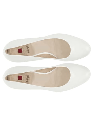 Högl Leder-Pumps "Studio 80" in Creme