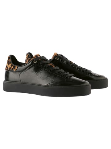 Högl Leder-Sneakers "Mats" in Schwarz