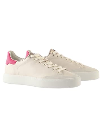 Högl Leren sneakers "Mats" crème