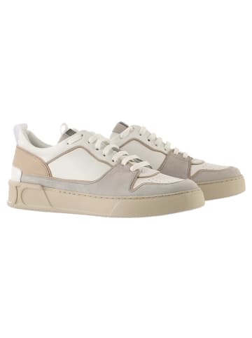 Högl Leder-Sneakers "Macba Seven" in Grau/ Beige