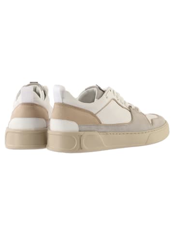 Högl Leren sneakers "Macba Seven" grijs/beige