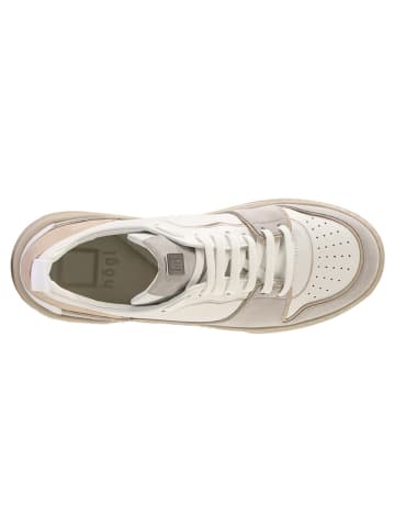 Högl Leren sneakers "Macba Seven" grijs/beige
