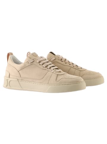 Högl Leder-Sneakers "Mac" in Beige