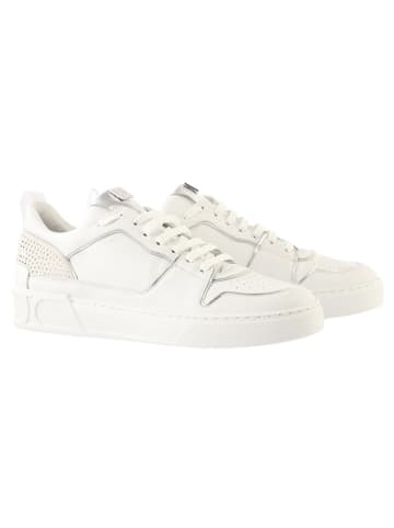 Högl Leder-Sneakers "Roxy" in Weiß