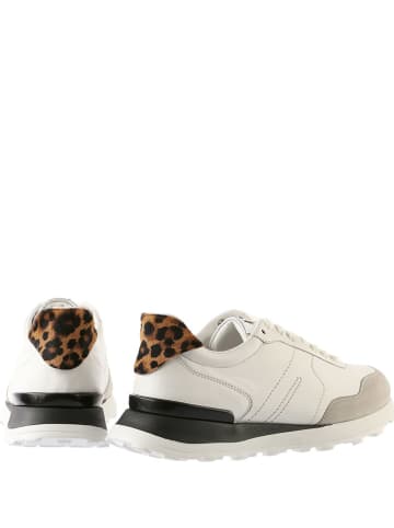 Högl Leren sneakers "Tony" wit/grijs