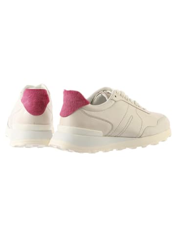 Högl Skórzane sneakersy "Tony" w kolorze kremowym