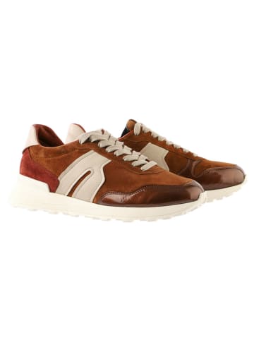 Högl Leder-Sneakers "Tony" in Braun