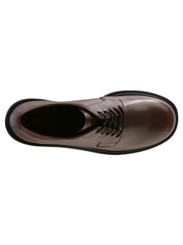 Högl Leren veterschoenen "George" bruin