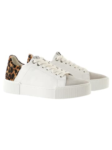 Högl Leren sneakers "Blade" meerkleurig