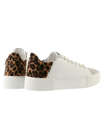 Högl Leren sneakers "Blade" meerkleurig