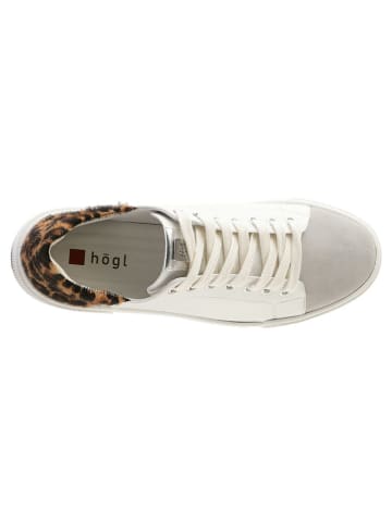 Högl Leren sneakers "Blade" meerkleurig