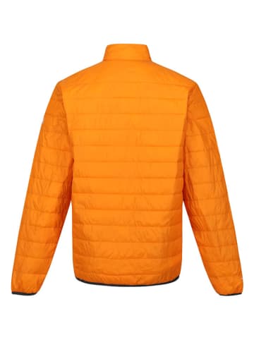 Regatta Steppjacke "Hillpack" in Orange