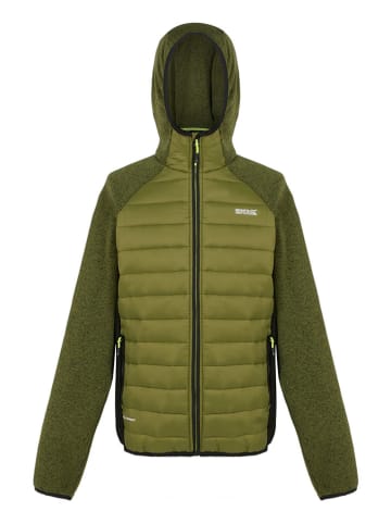 Regatta Hybridjacke "Newhill" in Grün