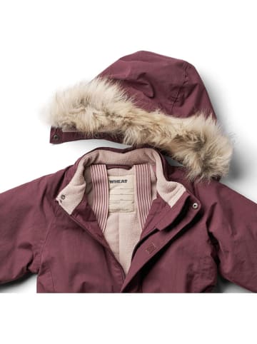 Wheat Sneeuwpak "Moe" bordeaux