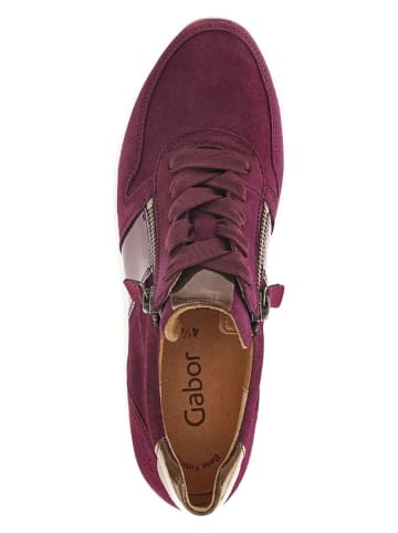 Gabor Sneakers in Lila