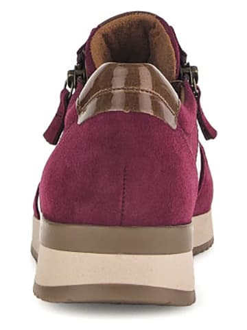 Gabor Sneakers in Lila