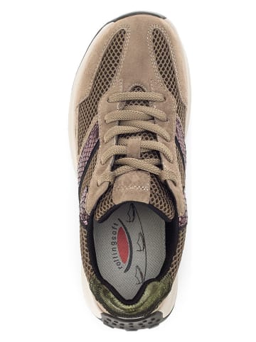 Gabor Sneakers in Beige