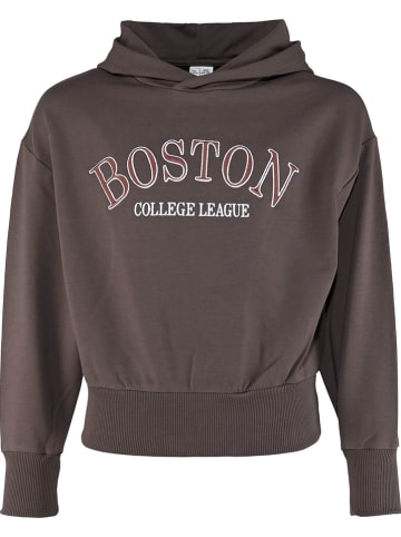 Blue Effect Hoodie bruin