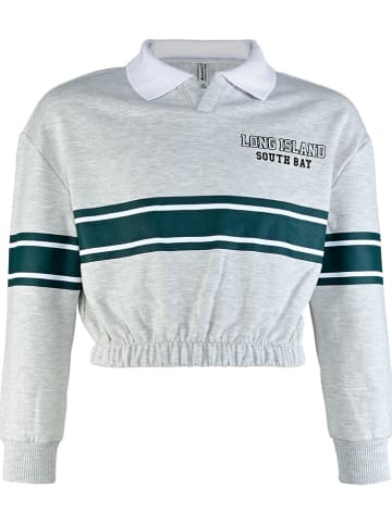 Blue Effect Sweatshirt grijs/groen