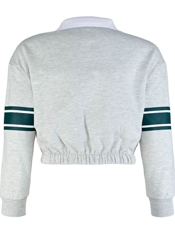 Blue Effect Sweatshirt grijs/groen