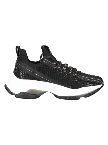 Steve Madden Sneakers in Schwarz