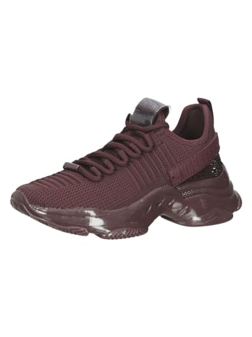 Steve Madden Sneakers in Bordeaux