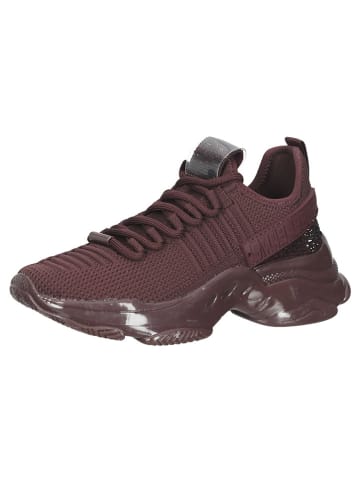 Steve Madden Sneakersy w kolorze brązowym