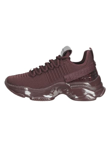 Steve Madden Sneakers in Bordeaux