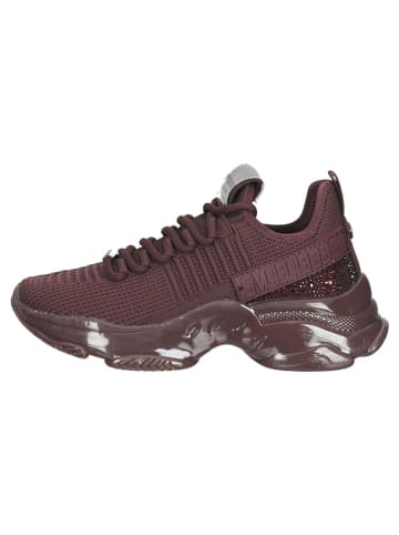 Steve Madden Sneakersy w kolorze brązowym