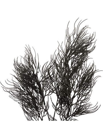 Present Time Kunstpflanze "Asparagus" in Schwarz - (B)25,4 x (H)86,4 cm
