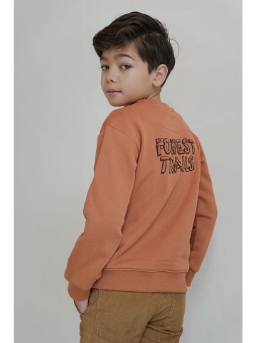Like Flo Sweatshirt lichtbruin